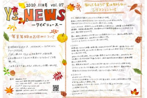 Y_sNEWS_2020.11のサムネイル